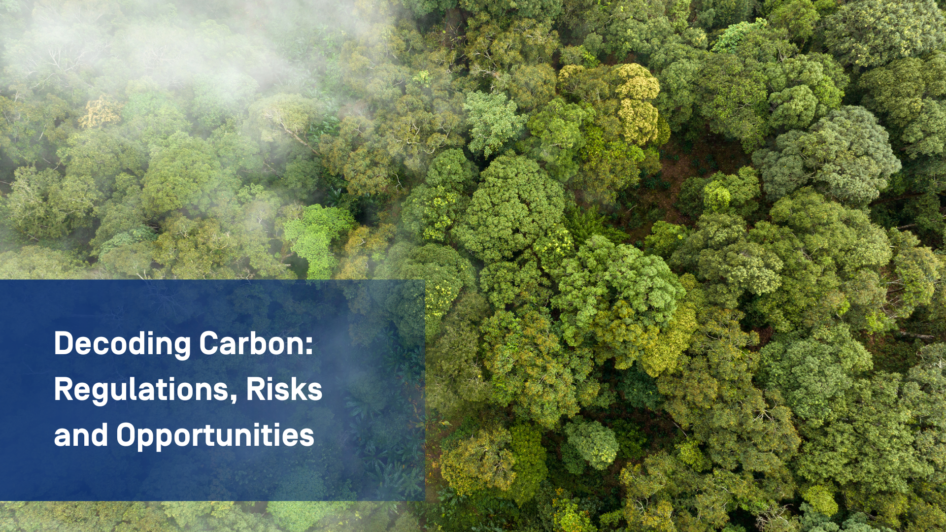 WCF26-ChemiCon-Decoding-Carbon